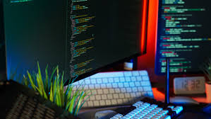Custom Web Development: Websites, Vlogs, Hotel & Shop Systems